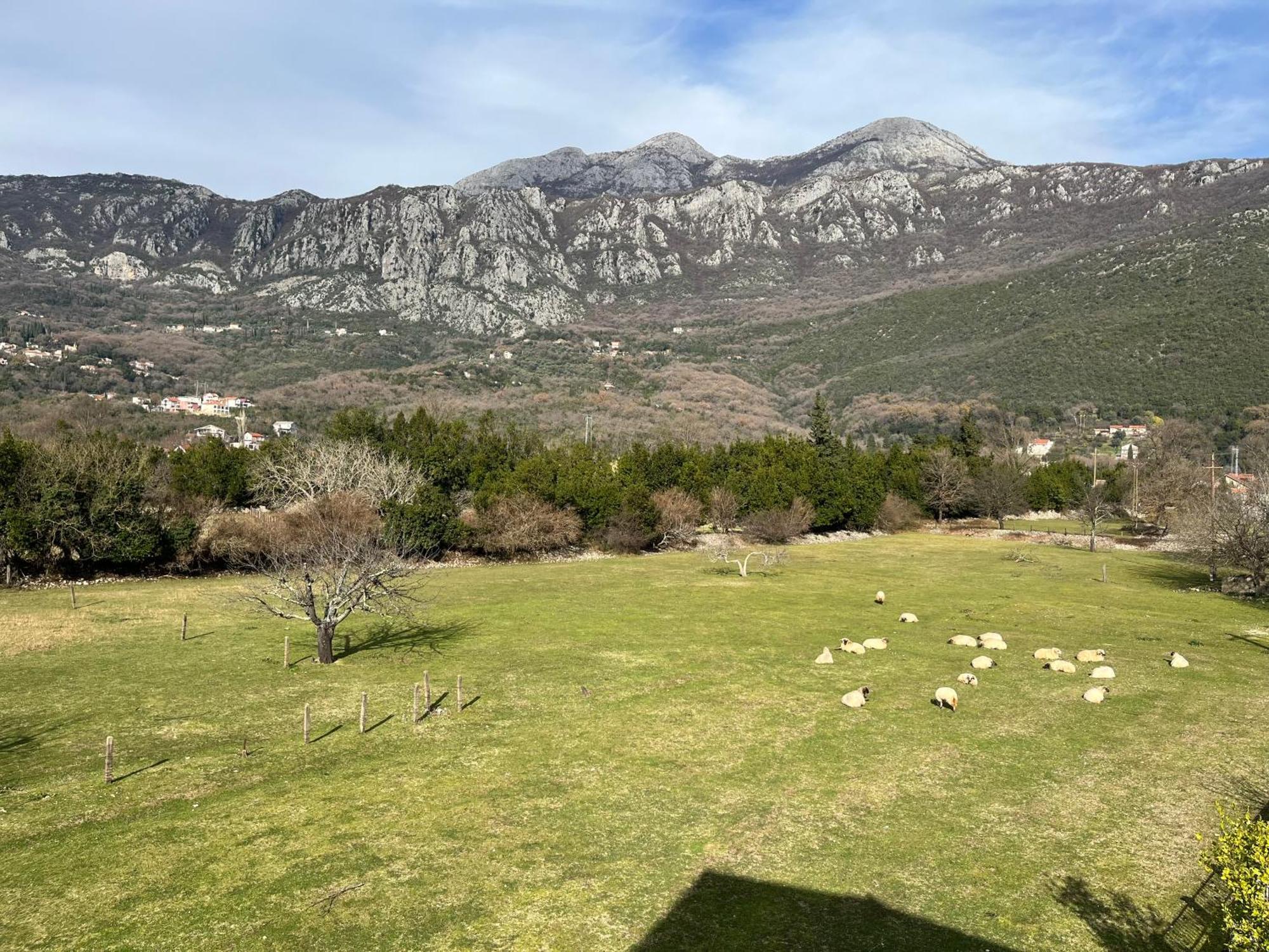 Appartamento Livade 15 Herceg Novi Esterno foto